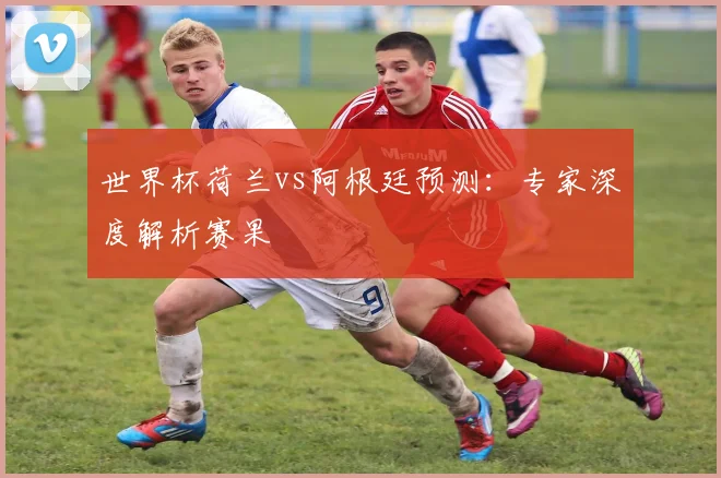 世界杯荷兰vs阿根廷预测：专家深度解析赛果