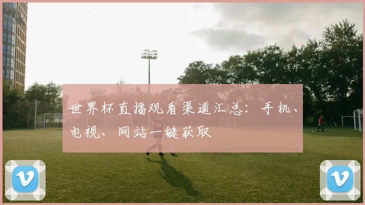 世界杯直播观看渠道汇总：手机、电视、网站一键获取