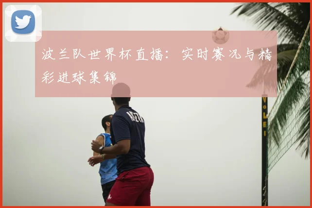 波兰队世界杯直播:实时赛况与精彩进球集锦