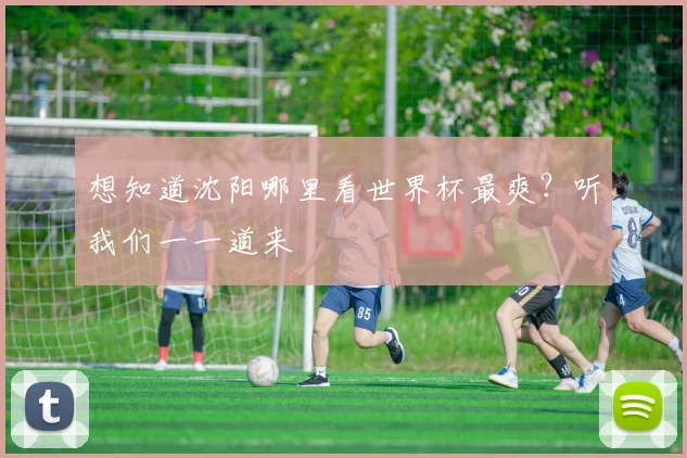 想知道沈阳哪里看世界杯最爽？听我们一一道来