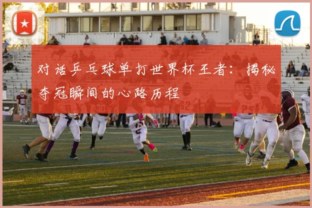 对话乒乓球单打世界杯王者：揭秘夺冠瞬间的心路历程