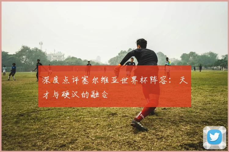 深度点评塞尔维亚世界杯阵容：天才与硬汉的融合