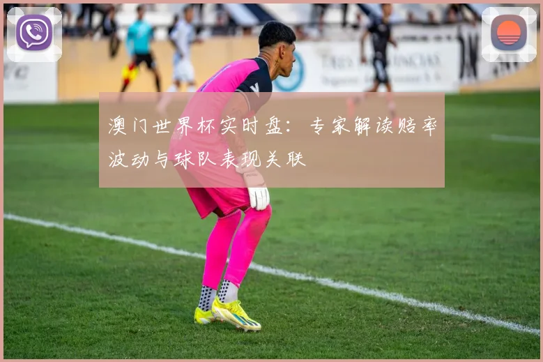 澳门世界杯实时盘：专家解读赔率波动与球队表现关联