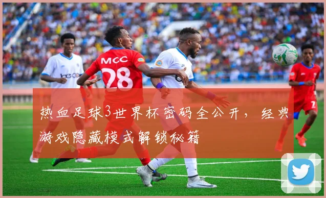 热血足球3世界杯密码全公开，经典游戏隐藏模式解锁秘籍